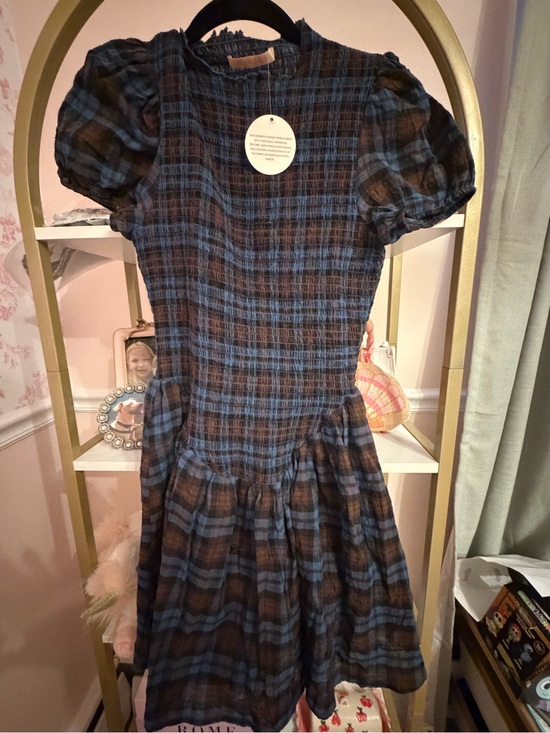 Olivaceous Dresses & Skirts - Olivaceous Blue and Brown Plaid Puff-Sleeve Mini Dress